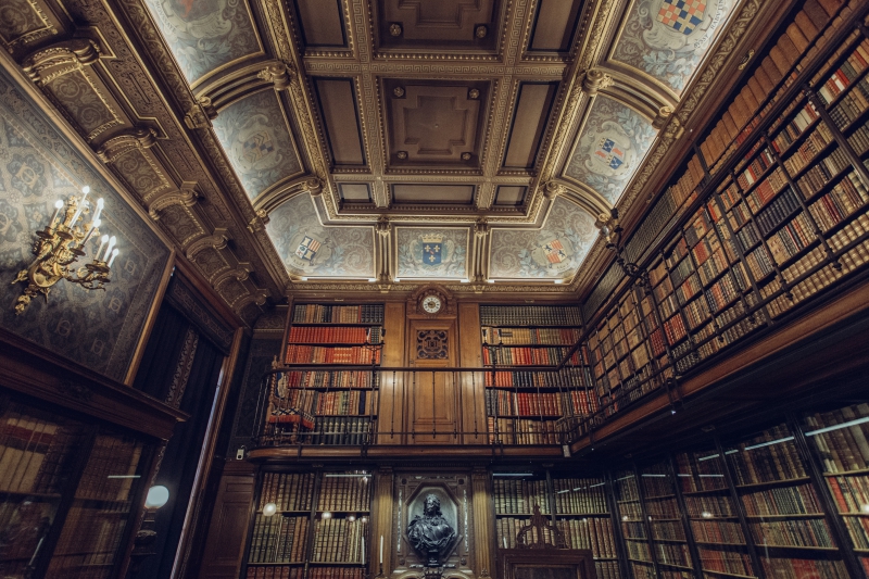 librairie-CLANS-min_library-863148